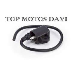 BOBINA IGNICAO BURGMAN125