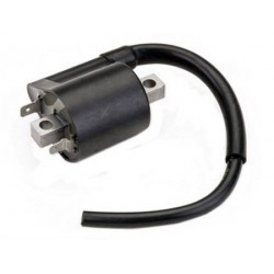 BOBINA IGNICAO INTRUDER125/FAZER250/YS250