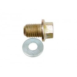 BUJAO OLEO PARA RECUPERAR 3 PASSE COM ARRUELA COM MAO DE OBRA (M15X1,5)